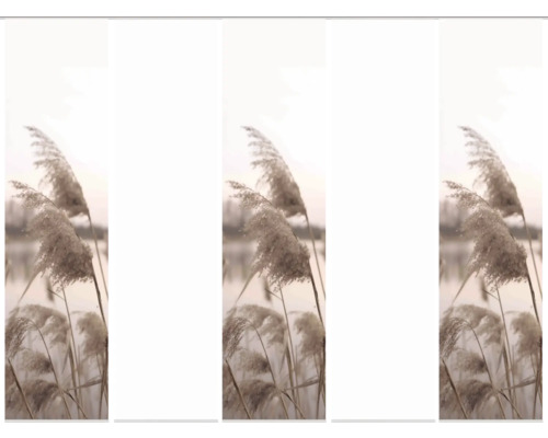 Roseau décoratif comme élément décoratif