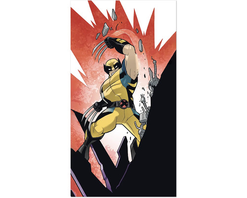 Leinwandbild X-Men Wolverine Slit 30x60 cm