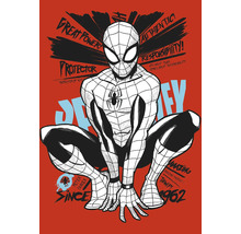 Spider-Man Illustration mit dem Schriftzug Große Macht, große Verantwortung