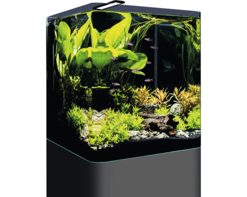 UNS 60L Aquarium Weißglas Mit Rückwandfolie store Schwarz Nano