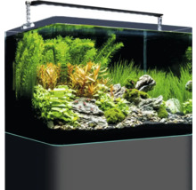 Aquarium DENNERLE Nano Tank Plant Pro 35 L, LED Beleuchtung Chihiros A II 401 inkl. Innenfilter, Abdeckscheibe, Sicherheitsunterlage, Einsteigerbroschüre