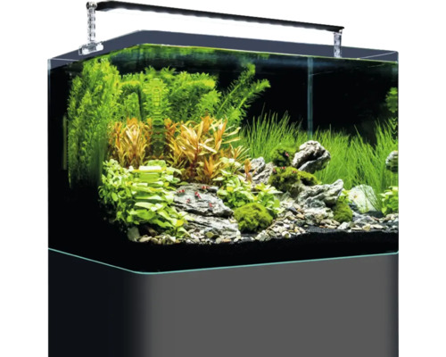 Aquariums Set Nano LED 10l 4,3W Aquarium Set Complet Filtre Chauffage  Éclairage