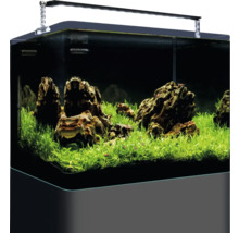 Aquarium DENNERLE Nano Tank Plant Pro 55 L, LED Beleuchtung Chihiros A II 451 inkl. Innenfilter, Abdeckscheibe, Sicherheitsunterlage, Einsteigerbroschüre ,