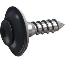 Schraube mit Torx-Antrieb und Linsenkopf