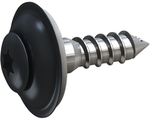 Schraube mit Torx-Antrieb und Linsenkopf