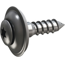 Metallschraube mit Torx Antrieb und Scheibe