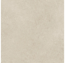 Carreau de céramique avec surface mate