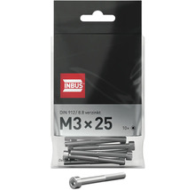 Verpackung mit zehn Innensechskantschrauben M3 x 25 von Inbus