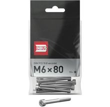 Verpackung mit zehn M6 x 80 Zylinderschrauben mit Innensechskant