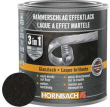 Dose Hammerschlag Effektlack Glanzlack