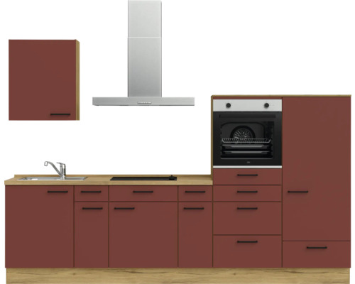 Komplette Küchenzeile mit Spüle, Kochfeld, Dunstabzugshaube und Backofen in einem hellen, organisierten Design.