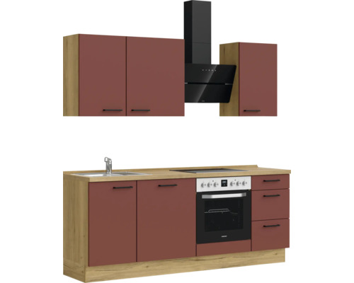 Küchenzeile mit Spüle, Kochfeld, Backofen, Dunstabzugshaube und Hängeschränken