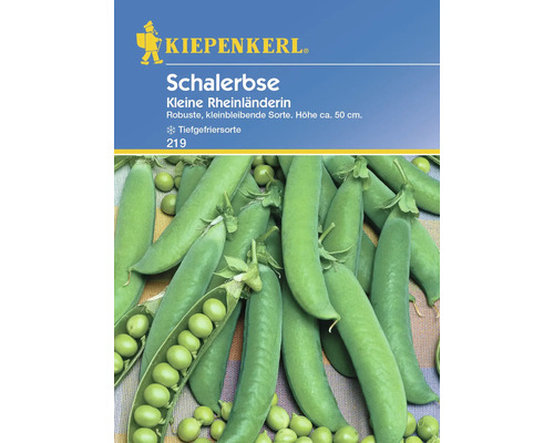 Pois Kleine Rheinländerin Kiepenkerl graines de légumes stables