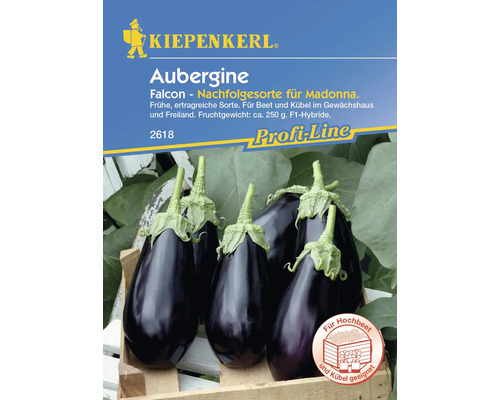 Aubergine Falcon Kiepenkerl Hybrid-Saatgut Gemüsesamen
