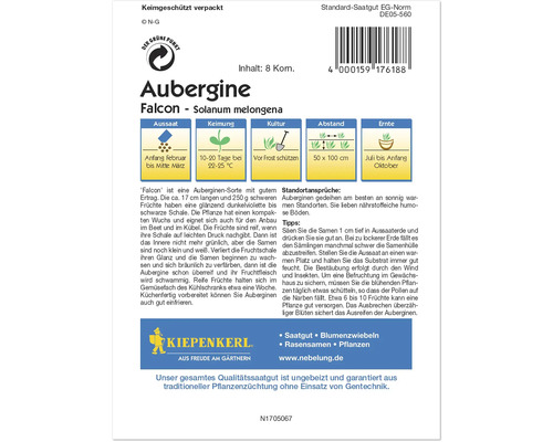Semences d''aubergines Falcon de Kiepenkerl