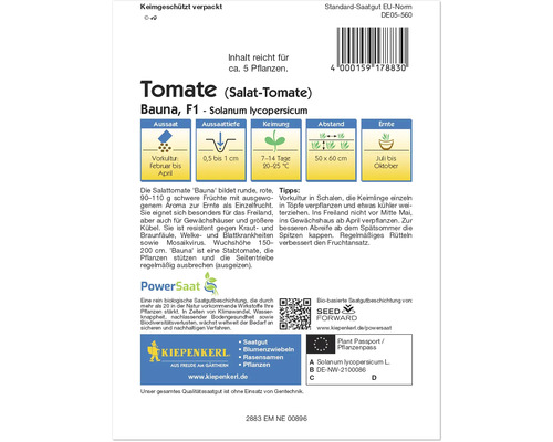 Semences de tomates de la tomate à salade Bauna F1 de Kiepenkerl