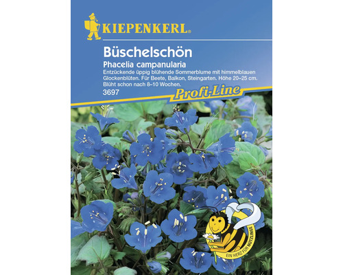 Büschelschön Kiepenkerl Blumensamen Bienenweide für Schmetterlinge und Bienen