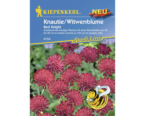 Graines de fleurs Kiepenkerl Knautia Red Knight semences stables