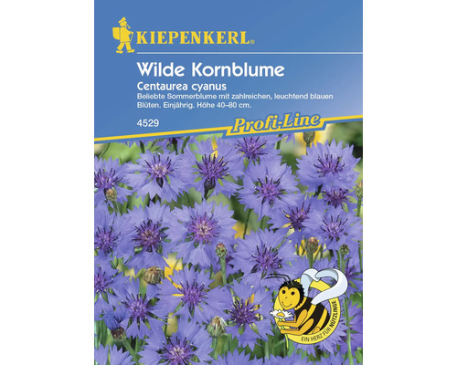 Wilde Kornblume Kiepenkerl Samenfestes Saatgut Blumensamen Bienenfreundlich