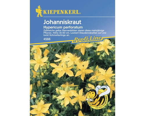 Johanniskraut Kiepenkerl Samenfestes Saatgut Blumensamen
