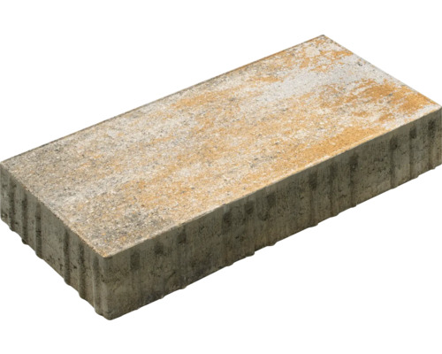 Pavé rectangulaire pavé Cordena luna-calcaire coquiller 40 x 20 x 6 cm