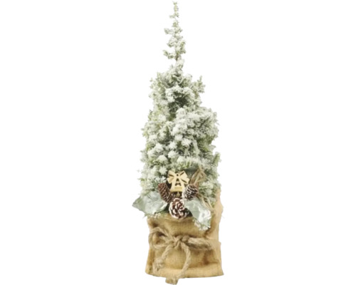 Faux cyprès Top Point Schnee FloraSelf h 35-40 cm p 13 cm Faux cyprès Top Point Schnee FloraSelf h 35-40 cm p 13 cm