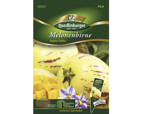 Birnenmelone ' Solanum muricatum ' Quedlinburger Gemüsesamen