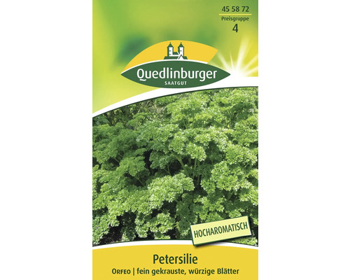 Persil ' Petroselinum crispum ' Graines d'aromates Quedlinburger