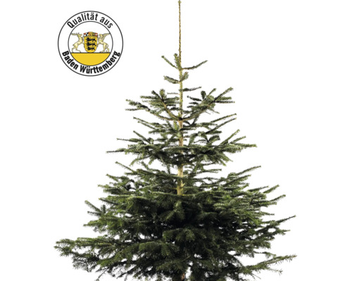 Sapin Nordmann de Bade-Wurtemberg h 150-200 cm, sapin de Noël coupé issu de production durable et régionale