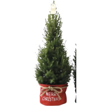 Künstlicher Weihnachtsbaum im Topf mit der Aufschrift ''Frohe Weihnachten''