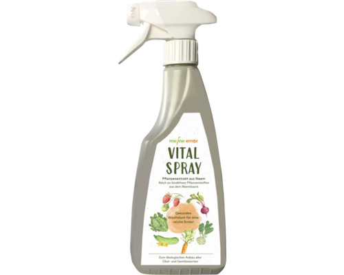 Renforcement des plantes meine ernte Neem Vitalspray, extrait de plante naturel de margousier, bioactif, mélange prêt à l'emploi, adapté pour une culture écologique, 500 ml