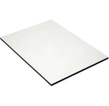 Panneau en plastique