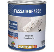 Farbe für Fassaden im Farbeimer