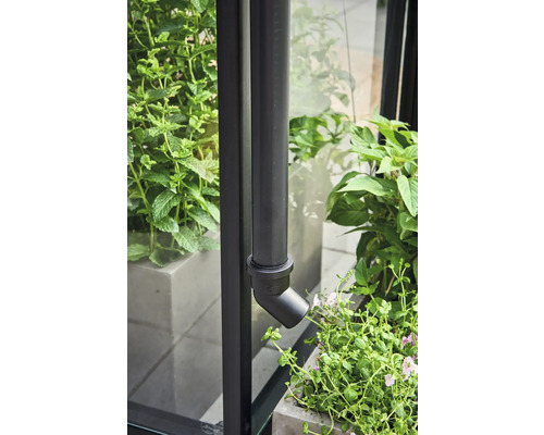 Gros plan d''une descente pluviale sur un bâtiment, entourée de plantes vertes en pot.