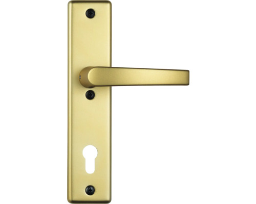 Poignée de porte avec rosette de clé