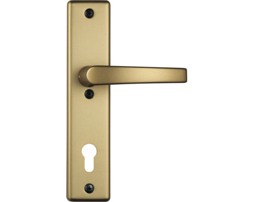 Poignée de porte avec rosette de clé pour portes intérieures