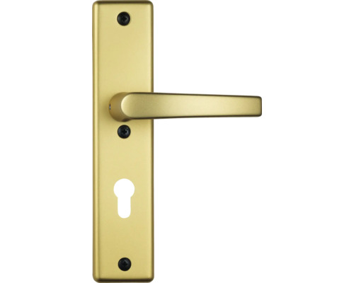 Béquille de porte avec rosette à clé pour portes intérieures