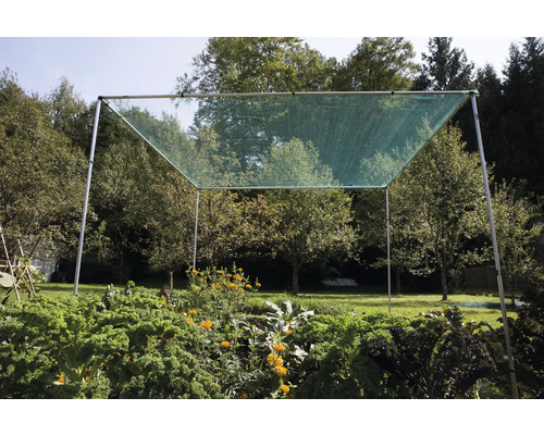 Potager avec filet de protection devant des arbres