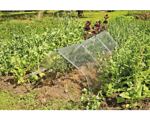 Gemüsegarten mit Frühbeet