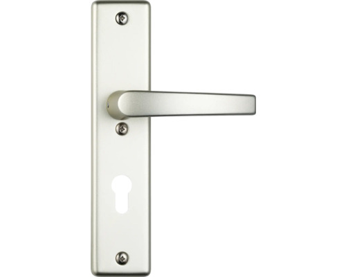 Poignée de porte avec rosette à clé pour portes intérieures