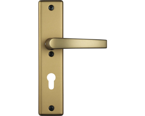 Poignée de porte avec plaque longue et trou de serrure