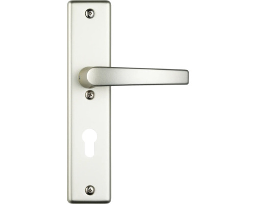 Poignée de porte avec plaque longue pour portes intérieures