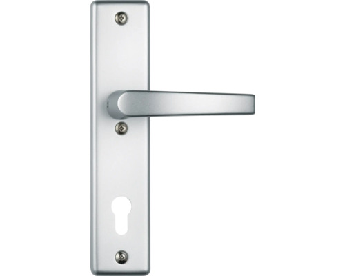 Türgriff aus Metall mit Langschild