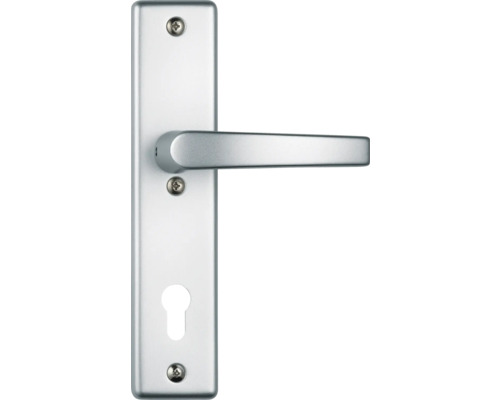 Poignée de porte avec plaque longue et trou de serrure