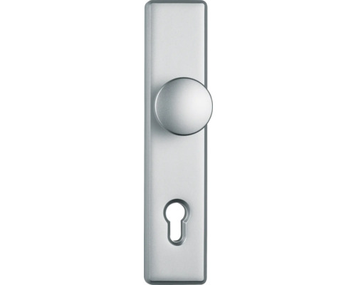 Poignée de porte avec rosette de clé