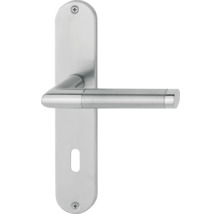 Poignée de porte en acier inoxydable avec plaque longue