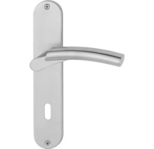 Garniture de porte en métal avec poignée de porte