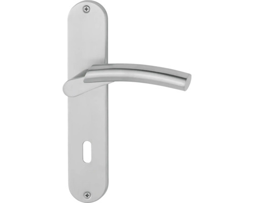 Garniture de porte en métal avec poignée de porte