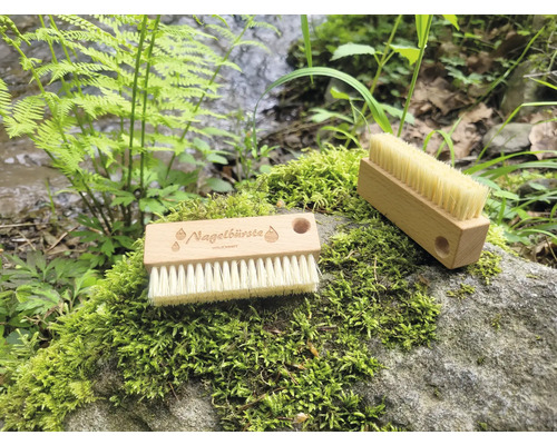 Zwei Nagelbürsten aus Holz mit Borsten liegen auf einem moosbewachsenen Stein in der Natur.