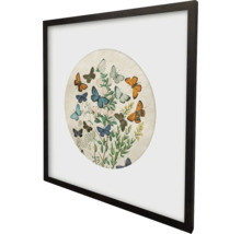 Image encadrée représentant des papillons et des plantes